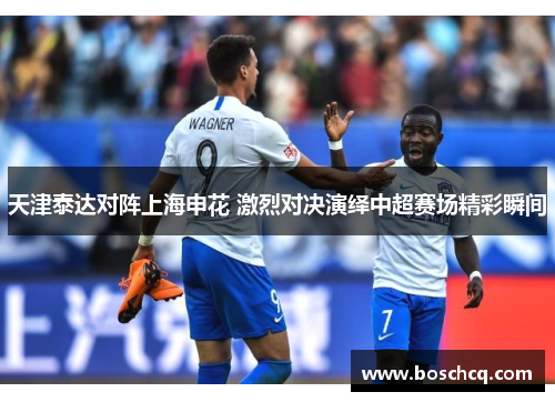 天津泰达对阵上海申花 激烈对决演绎中超赛场精彩瞬间