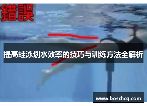 提高蛙泳划水效率的技巧与训练方法全解析