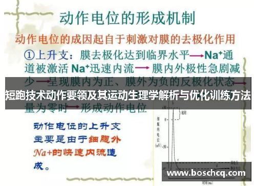 短跑技术动作要领及其运动生理学解析与优化训练方法