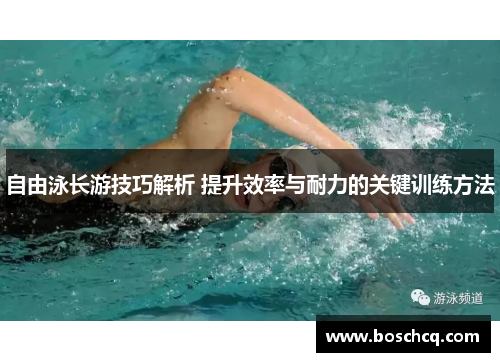 自由泳长游技巧解析 提升效率与耐力的关键训练方法