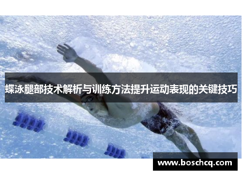蝶泳腿部技术解析与训练方法提升运动表现的关键技巧