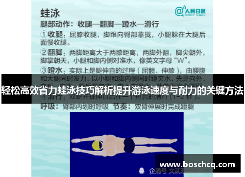 轻松高效省力蛙泳技巧解析提升游泳速度与耐力的关键方法